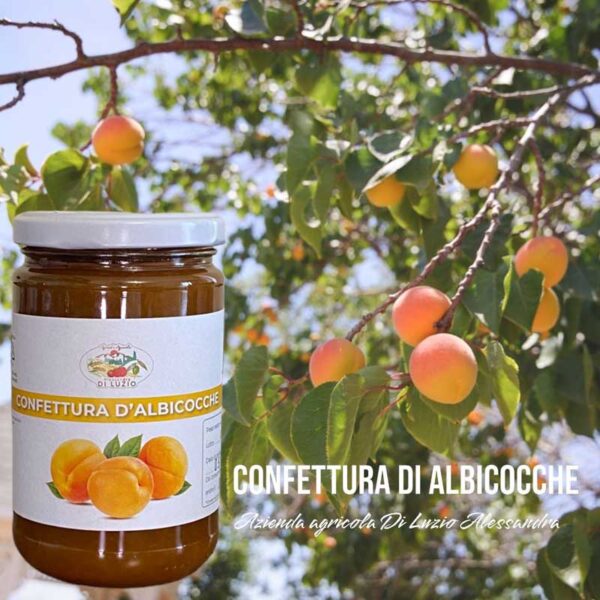 Confettura di albicocche - 314g