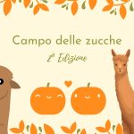 Campo delle zucche