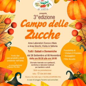 Campo delle zucche