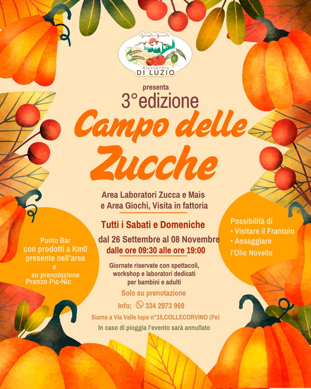 Campo delle zucche